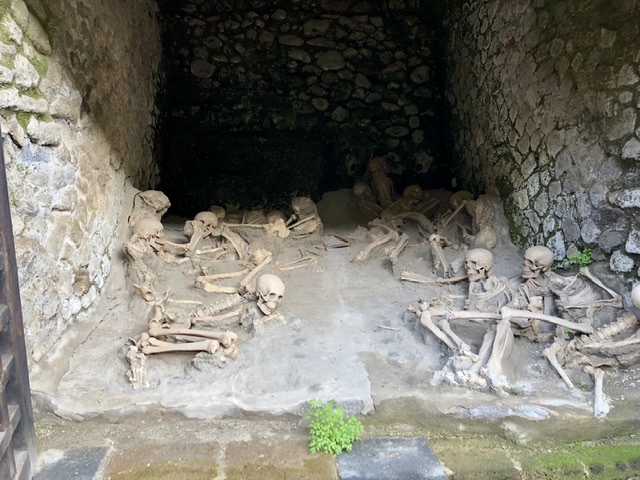 11429010-3973-4DB5-9524-5FC1EFDFA37C