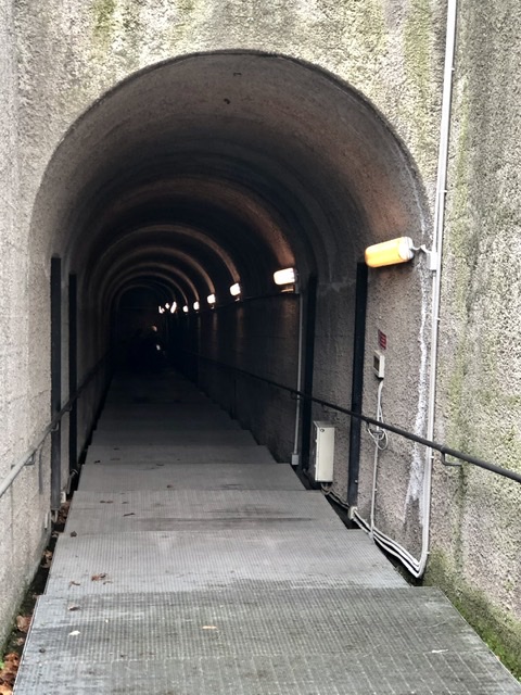 1EAE6298-37CE-478B-AF9C-18E7676B08A5