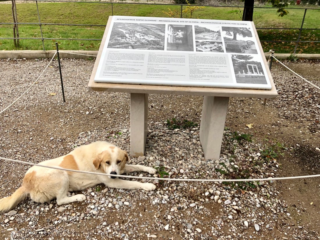 22717A09-C44A-4EE6-A0B9-21C036A4E8C4