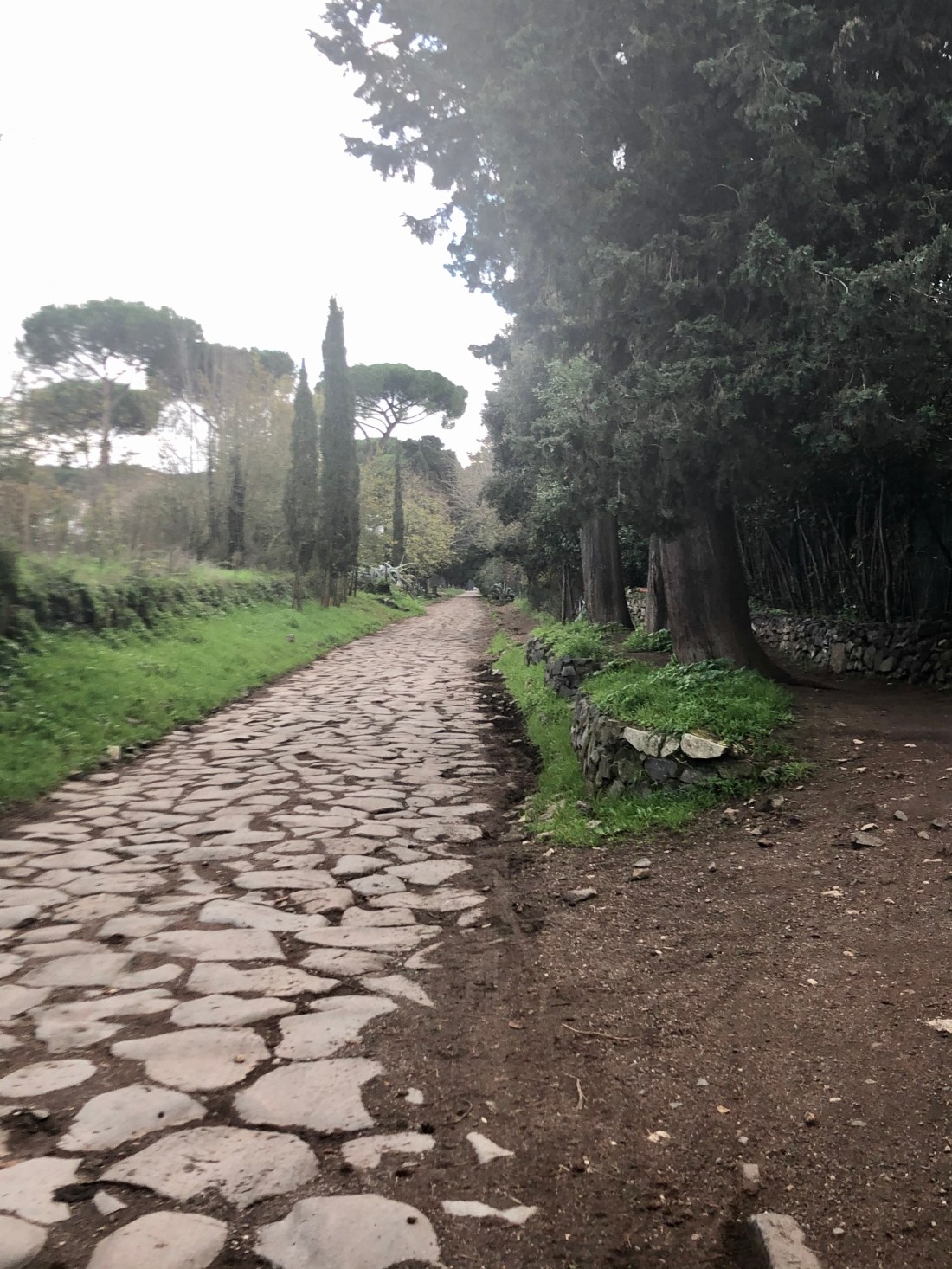 3FF2160C-AA2A-4C53-8E1A-F4DF77D60E58