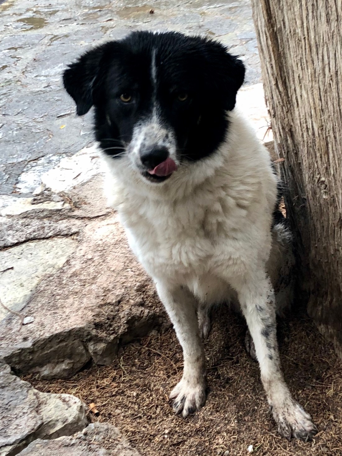 621435F7-712B-4067-9F0D-9162FCB9D1A8