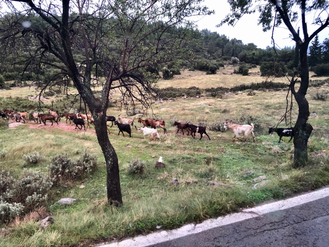 9E819A64-2D2D-4E34-B912-4D36D80ED9B2