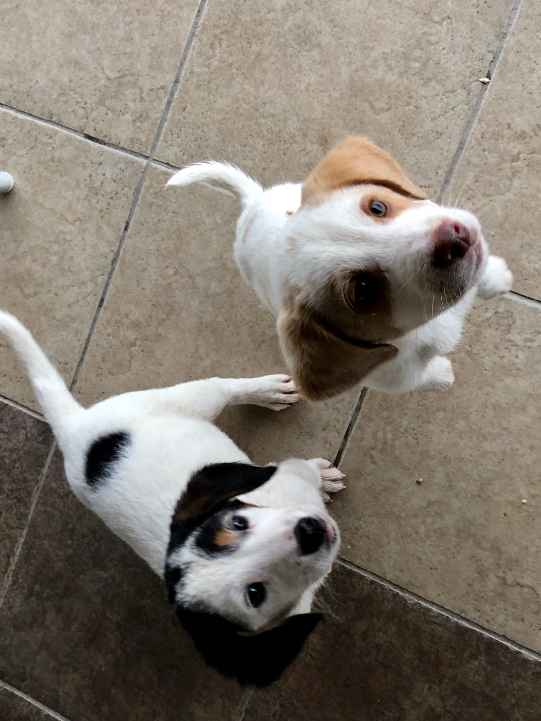 AC76051F-7B27-4935-B32C-01E500B3B105