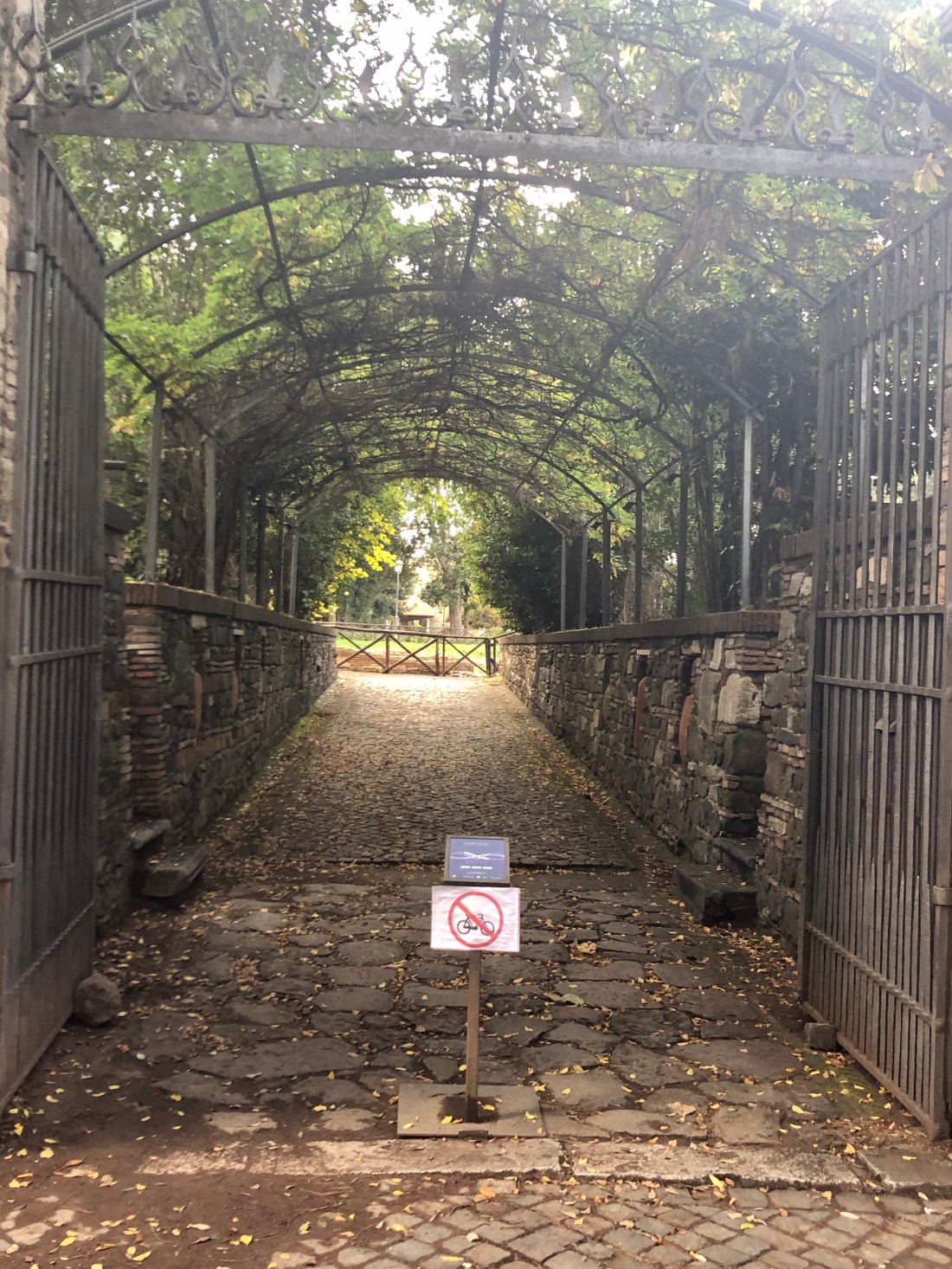 C6F74406-CB7C-44B3-91AD-8E1DA9887869