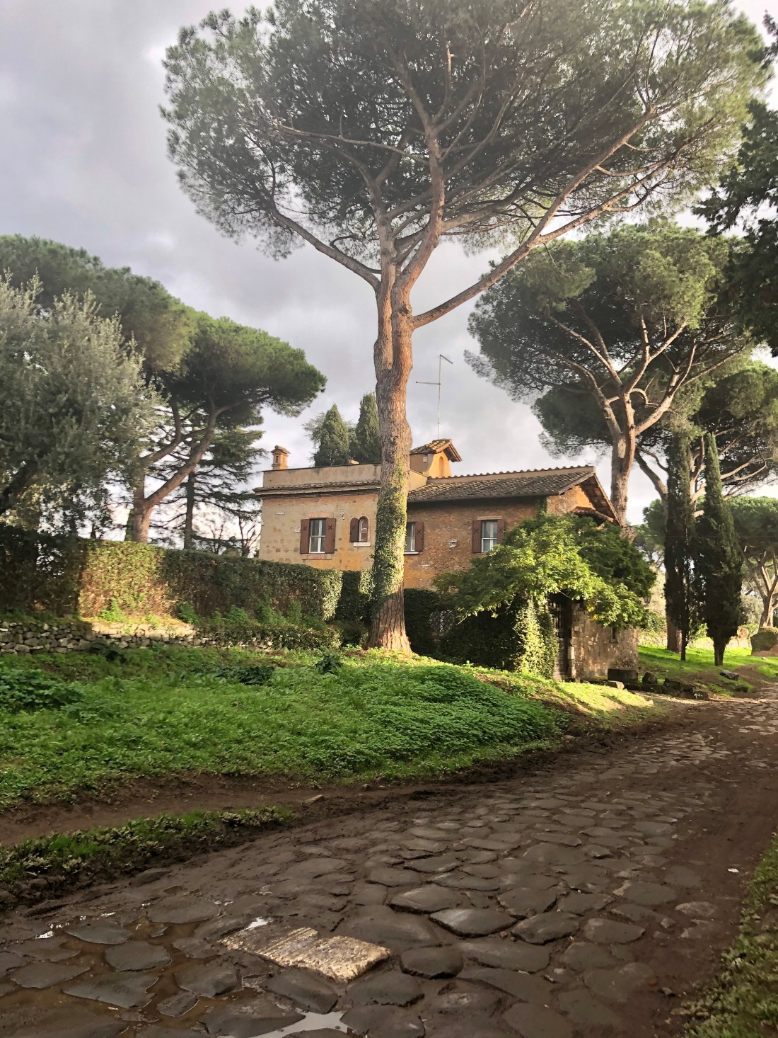 DDEE2ED1-7A5A-47EF-B539-6D65867154E2