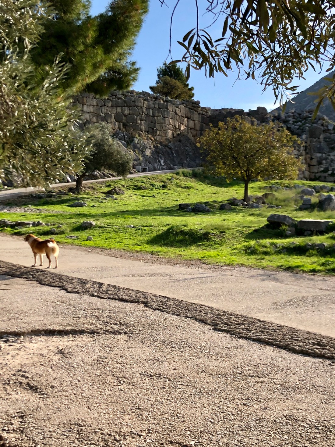 E1934B12-95C7-4E14-9414-15AE26E6B946